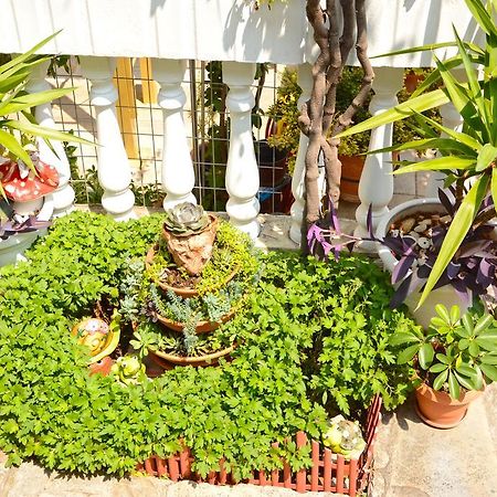 Hotel Dimitra Zeus Leptokaryá Ngoại thất bức ảnh